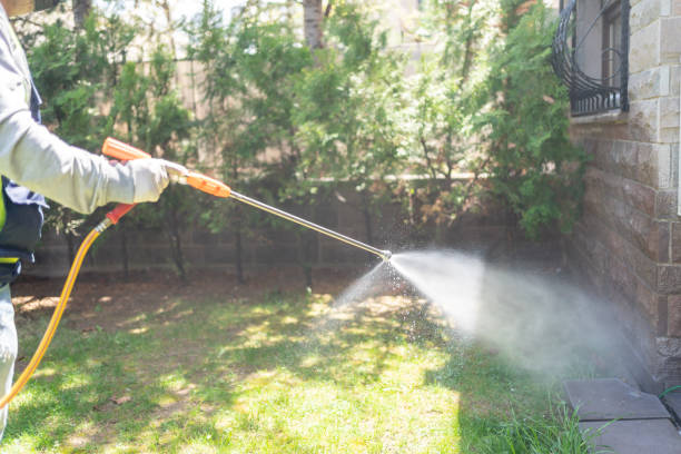 Best Residential Pest Control  in Bridgman, MI